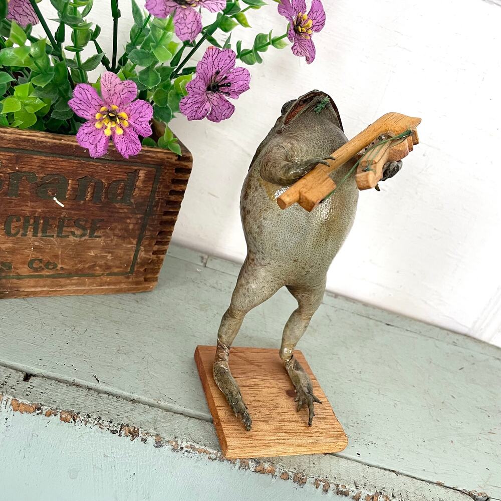 Vintage Mexican Folk Art Taxidermy Real Frog Violin Fiddle Instrument Oddity